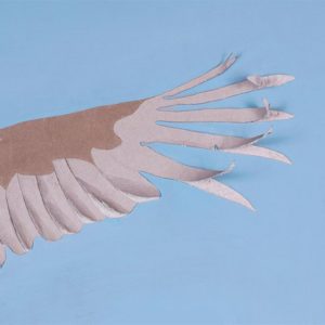 Condor